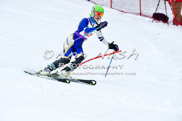 2016 January 22 alpine DSC_0780