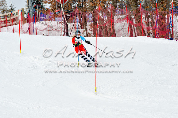 2016 January 22 alpine DSC_1742