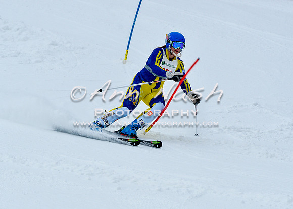 2016 January 22 alpine DSC_0574