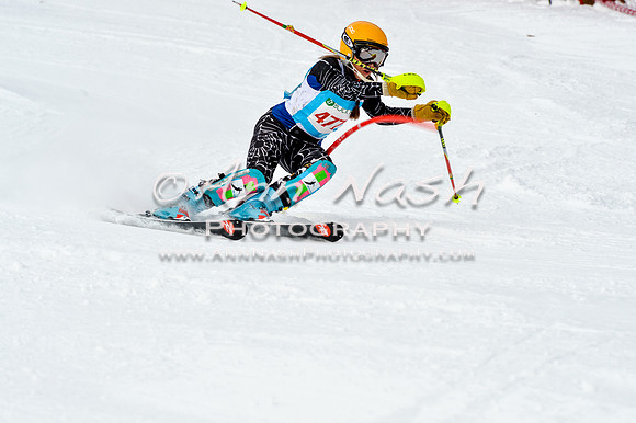 2016 January 22 alpine DSC_1768