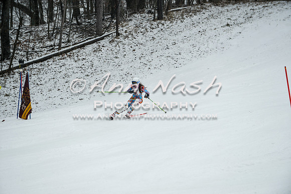 2015 December 18 alpine DSC_9391