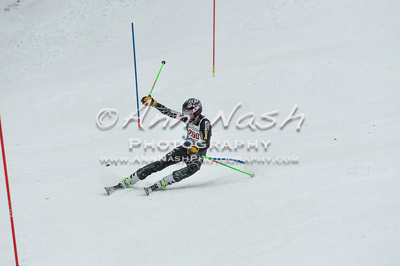 2015 December 18 alpine DSC_9401