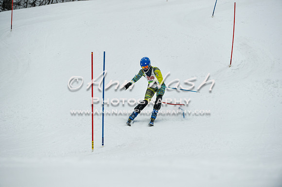 2015 December 18 alpine DSC_9277