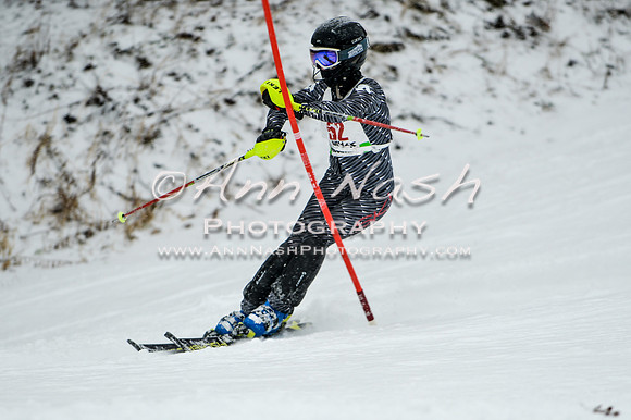 2015 December 18 alpine DSC_9263