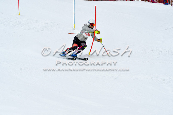 2016 January 22 alpine DSC_1408
