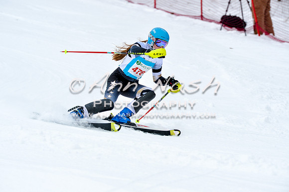 2016 January 22 alpine DSC_0848