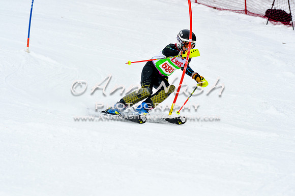 2016 January 22 alpine DSC_1546