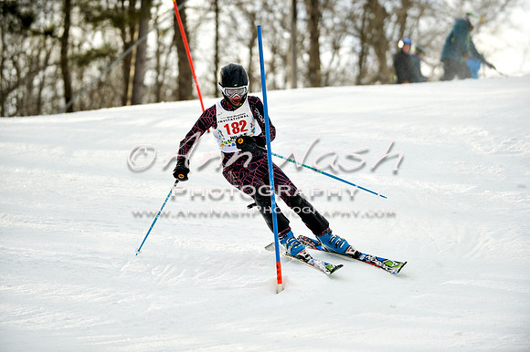 2015 December 18 alpine DSC_9972