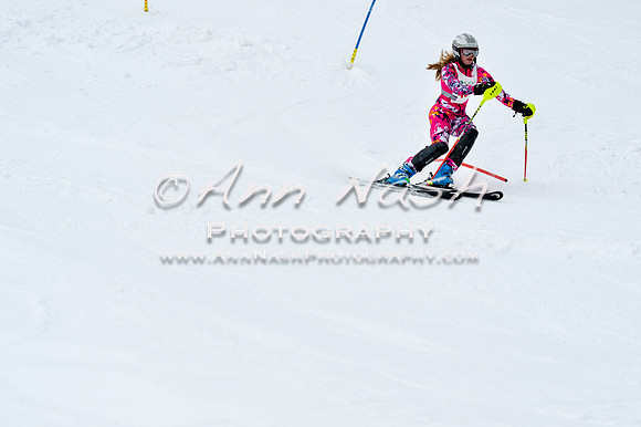 2016 January 22 alpine DSC_1424