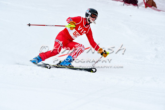 2016 January 22 alpine DSC_0976