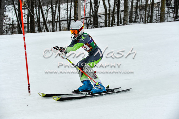 2015 December 18 alpine DSC_9334