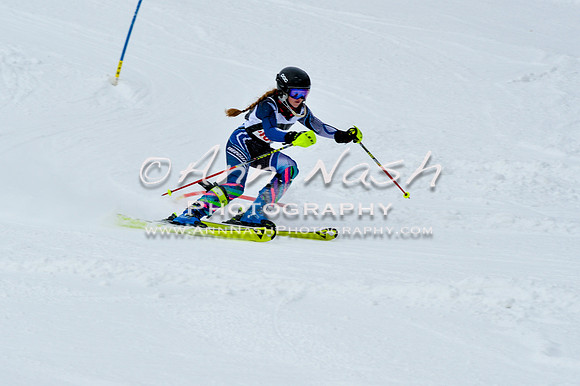 2016 January 22 alpine DSC_1070