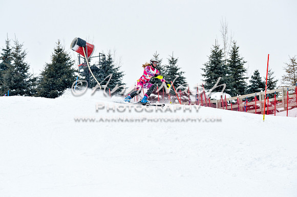 2016 January 22 alpine DSC_1421