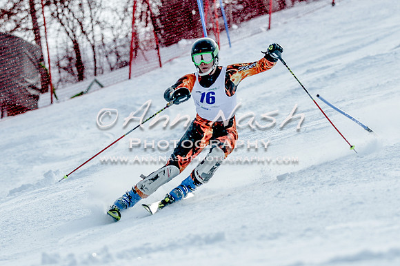2016 February 14 alpine DSC_7395