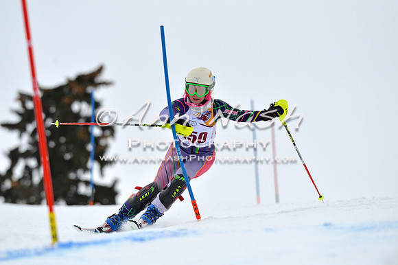 alpine_2015-02-14_12-48-08_DSC_7556_©AnnNashPhotographyLLC_2015
