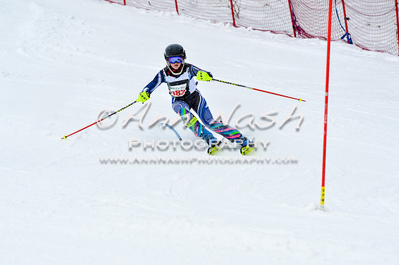 2016 January 22 alpine DSC_1073