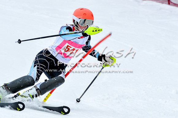 2016 January 22 alpine DSC_0721