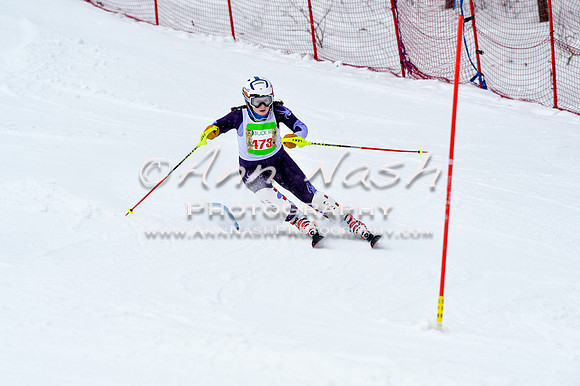2016 January 22 alpine DSC_1058