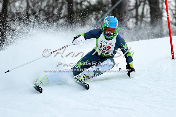 2015 December 18 alpine DSC_9796