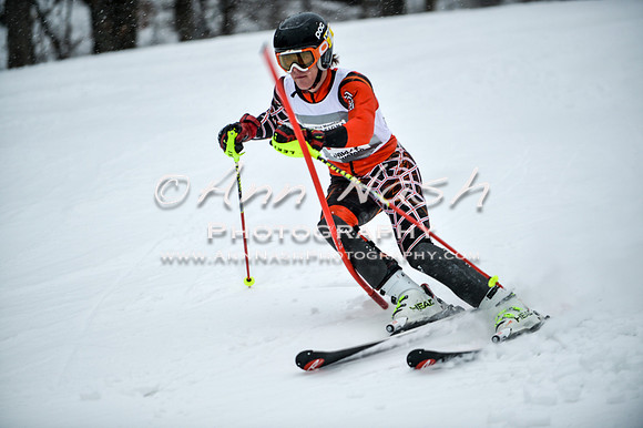 2015 December 18 alpine DSC_8964