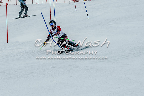2016 February 14 alpine DSC_7250-2