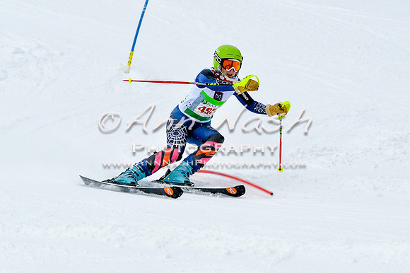 2016 January 22 alpine DSC_1082