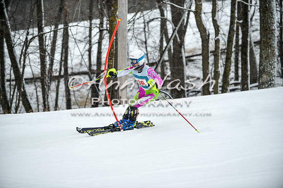 2015 December 18 alpine DSC_9317