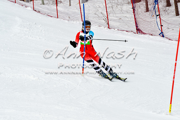 2016 January 22 alpine DSC_1745