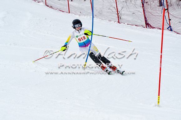 2016 January 22 alpine DSC_1102