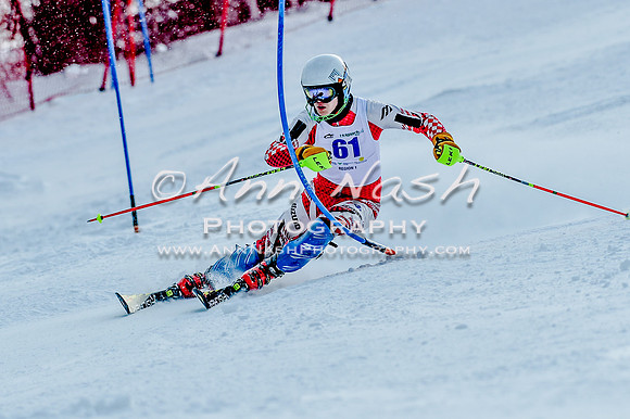 2016 February 14 alpine DSC_7816