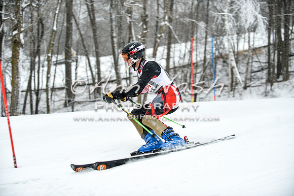 2015 December 18 alpine DSC_9273