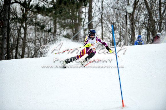 2015 December 18 alpine DSC_9633