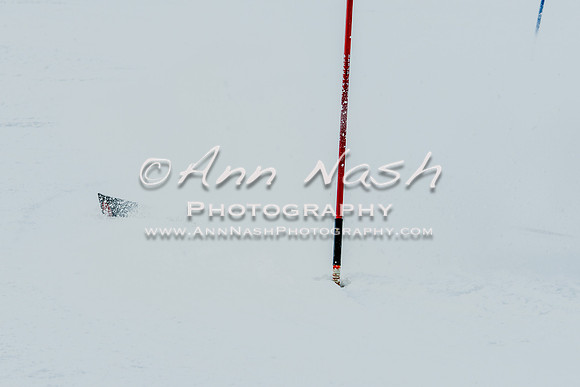 2016 February 14 alpine DSC_7246-2