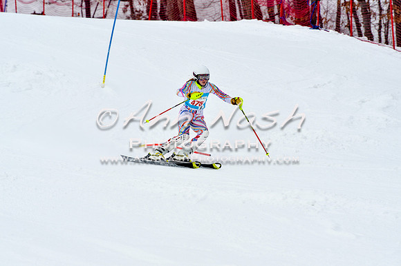 2016 January 22 alpine DSC_1460