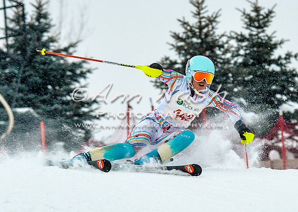 2016 January 22 alpine DSC_0809