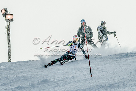 2016 February 14 alpine DSC_7166
