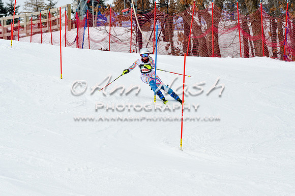 2016 January 22 alpine DSC_1613