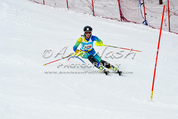 2016 January 22 alpine DSC_1610