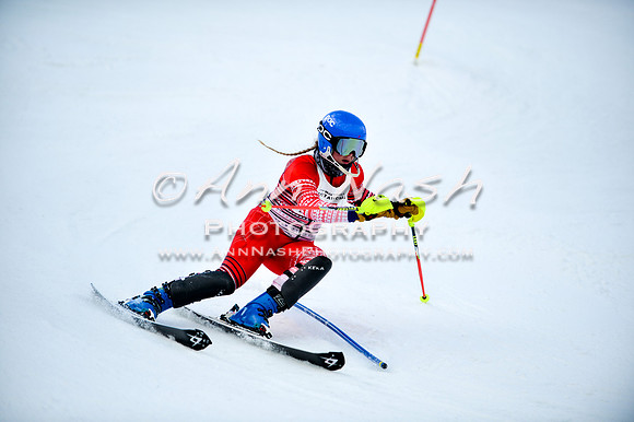2015 December 18 alpine DSC_9896