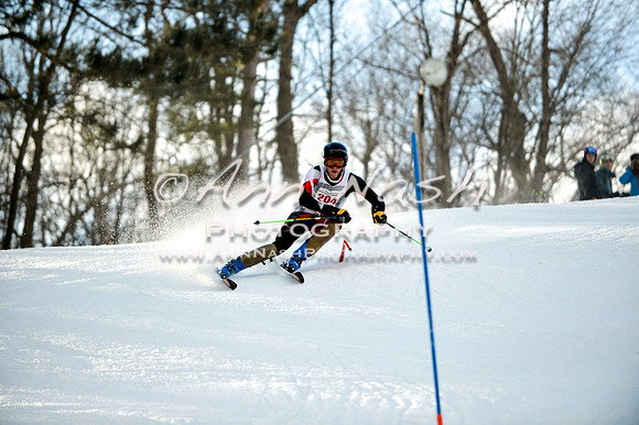 2015 December 18 alpine DSC_0132