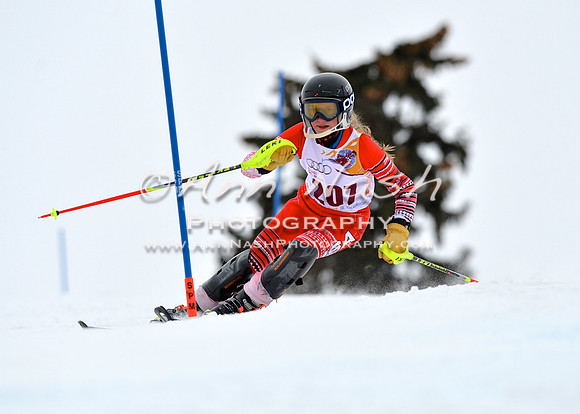 alpine_2015-02-14_13-32-21_DSC_8385_©AnnNashPhotographyLLC_2015