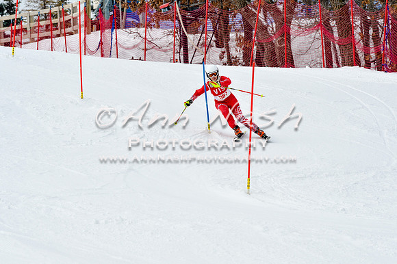 2016 January 22 alpine DSC_1845