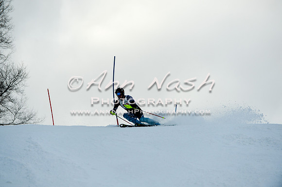 2015 December 18 alpine DSC_9738