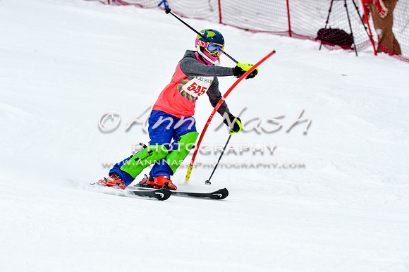 2016 January 22 alpine DSC_1508