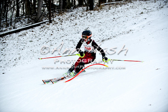 2015 December 18 alpine DSC_9819