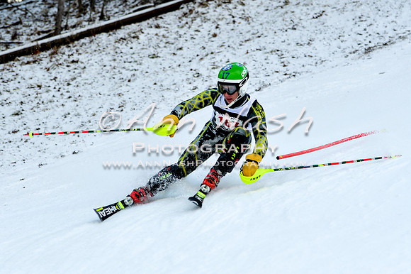 2015 December 18 alpine DSC_9931