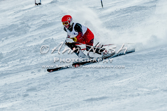 2016 February 14 alpine DSC_6849