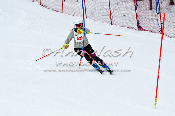 2016 January 22 alpine DSC_1410