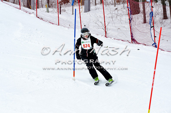 2016 January 22 alpine DSC_1366