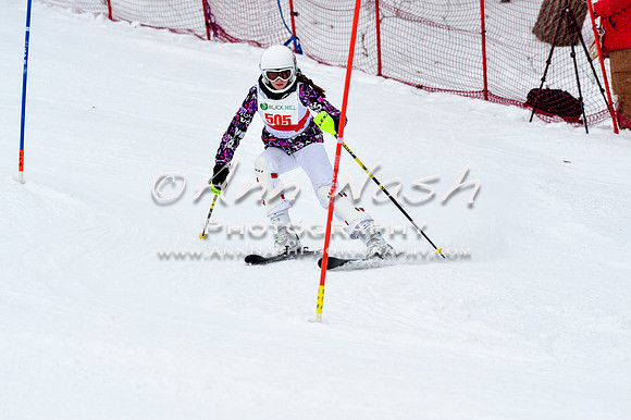 2016 January 22 alpine DSC_1482